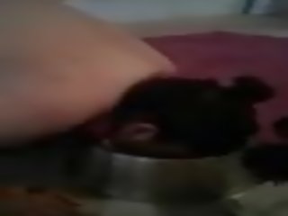 Saggy Dog Eats Her Dinner, Free Eating Her out HD dirty clip fb